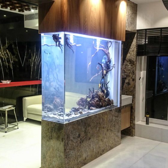 Residential Aquariums Madoverfish